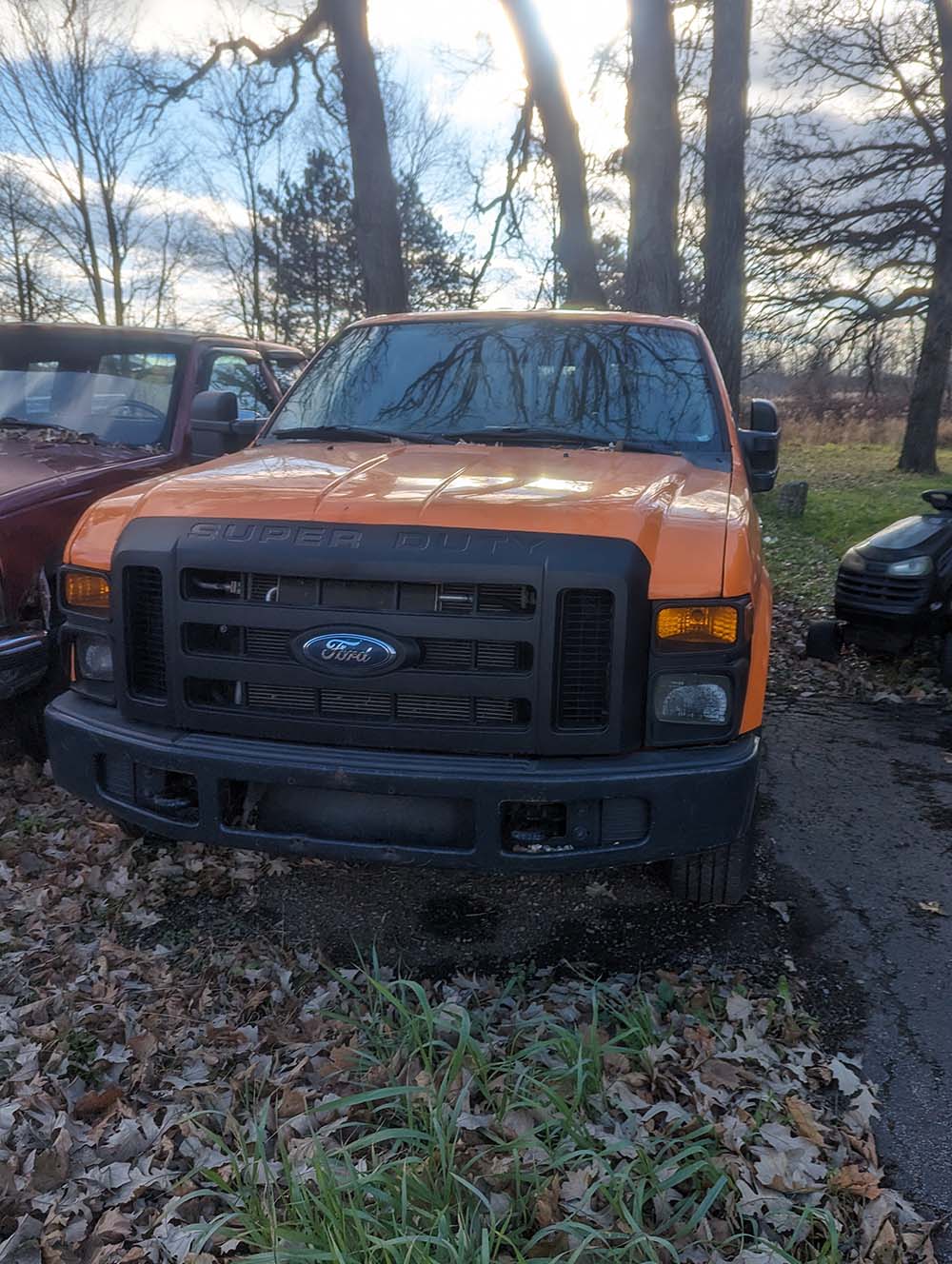 PXL_20231122_201831412